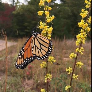 Meet your Posher, Posh